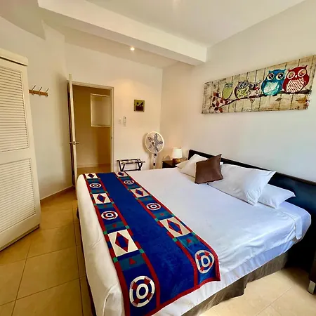 Bubali Gardens - Eagle Beach'S Oasis-2